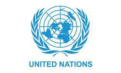 United Nations Logo - NewEdge Consulting client